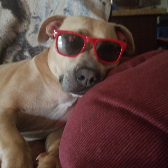 Meet your Posher - Picture 1 of 1